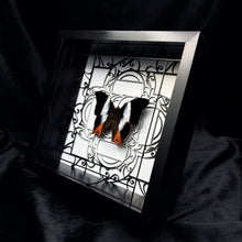 Load image into Gallery viewer, Palla Violinitens Shadow Box Frame