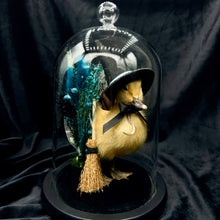 Load image into Gallery viewer, Witch Duckling - ‘Maeve’