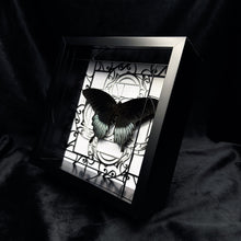 Load image into Gallery viewer, Papilio Memnon Shadow Box Frame