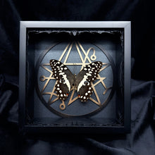 Load image into Gallery viewer, Papilio gigon Shadown Box Frame