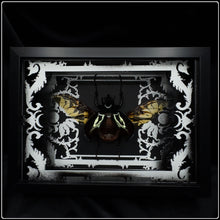 Load image into Gallery viewer, Chalcosoma Atlas Antiquity Frame