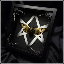 Load image into Gallery viewer, Cryptotympana aquila Unicursal Hexagram Frame