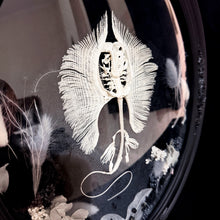 Load image into Gallery viewer, Stingray Skeleton in Antique Convex Glass Frame