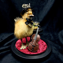 Load image into Gallery viewer, Distinguished Duckling - ‘Mr Friend Wadsworth’