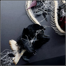 Load image into Gallery viewer, Mythical Sea Serpent - ‘Leviathan’