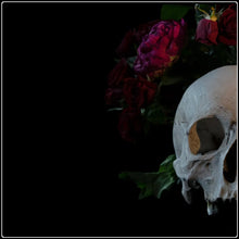 Load image into Gallery viewer, Florere - Limited Edition Fine Art Photographic Print