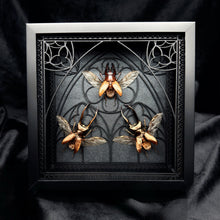 Load image into Gallery viewer, Beetle Trio Shadow Box Frame