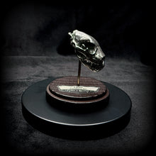 Load image into Gallery viewer, Lion Pendant - White Bronze