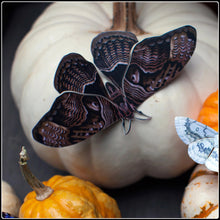 Load image into Gallery viewer, ‘Owl’ Halloween Moth Set