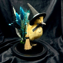 Load image into Gallery viewer, Witch Duckling - ‘Maeve’