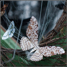 Load image into Gallery viewer, ‘Witch’ Halloween Moth Set