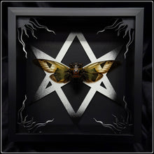 Load image into Gallery viewer, Cryptotympana aquila Unicursal Hexagram Frame