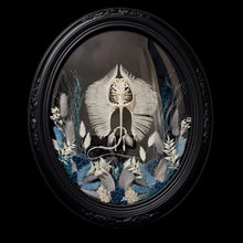 Load image into Gallery viewer, Stingray Skeleton in Antique Convex Glass Frame