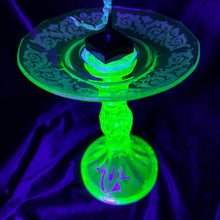 Load image into Gallery viewer, Javanimetrus cyaneus in Uranium Glass Display