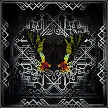 Load image into Gallery viewer, Chrysiridia rhipeus Frame