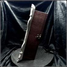 Load image into Gallery viewer, Butterflies, Roe Deer Antler & Mink Skull Shadow Box