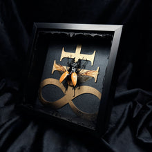 Load image into Gallery viewer, Odontolabis ludekingi Shadow Box Frame