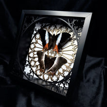 Load image into Gallery viewer, Palla Violinitens Pair Shadow Box Frame