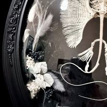 Load image into Gallery viewer, Stingray Skeleton in Antique Convex Glass Frame