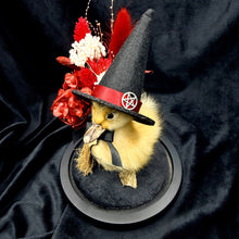 Load image into Gallery viewer, Witch Duckling - ‘Salem’
