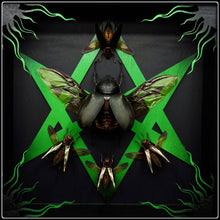 Load image into Gallery viewer, Five Beetles Unicursal Hexagram Frame