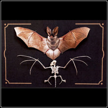 Load image into Gallery viewer, ‘Nocturne’ Bat & Bat Skeleton Set