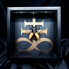 Load image into Gallery viewer, Odontolabis ludekingi Shadow Box Frame