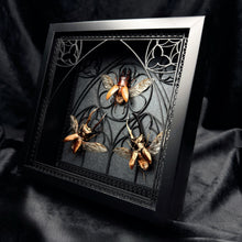 Load image into Gallery viewer, Beetle Trio Shadow Box Frame