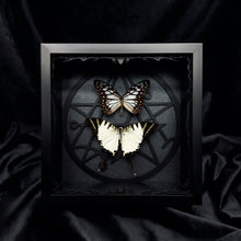Load image into Gallery viewer, Butterfly Duo Shadow Box Frame