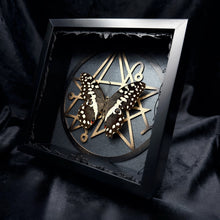 Load image into Gallery viewer, Papilio gigon Shadown Box Frame