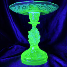 Load image into Gallery viewer, Javanimetrus Cyaneus In Uranium Glass Display