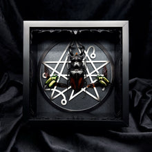 Load image into Gallery viewer, Beetle Trio Shadow Box Frame