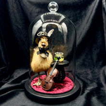 Load image into Gallery viewer, Distinguished Duckling - ‘Mr Friend Wadsworth’