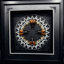 Load image into Gallery viewer, Quatro of Beetles In Shadow Box Frame