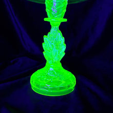 Load image into Gallery viewer, Javanimetrus Cyaneus In Uranium Glass Display