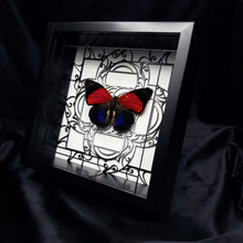 Load image into Gallery viewer, Agrias claudina lugens Shadow Box Frame