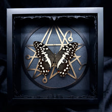 Load image into Gallery viewer, Papilio gigon Shadown Box Frame