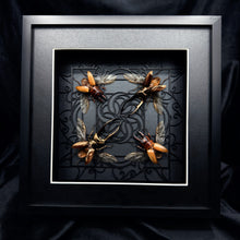 Load image into Gallery viewer, Quatro of Beetles Shadow Box Frame