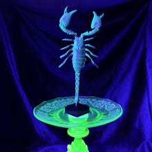 Load image into Gallery viewer, Javanimetrus Cyaneus In Uranium Glass Display