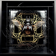 Load image into Gallery viewer, Odontolabis dalmanni Shadow Box Frame