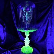 Load image into Gallery viewer, Javanimetrus Cyaneus In Uranium Glass Display