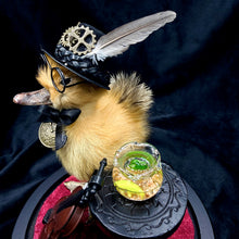 Load image into Gallery viewer, Distinguished Duckling - ‘Mr Friend Wadsworth’