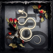 Load image into Gallery viewer, Rolling Viper Skeleton Leviathan Cross Frame