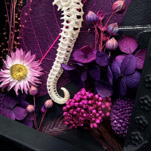 Load image into Gallery viewer, Sea Horse Skeleton On Cathedral Frame