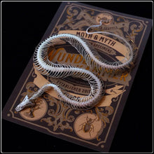 Load image into Gallery viewer, ‘Temptress’ Snake Skeleton