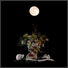 Load image into Gallery viewer, Egredior- Limited Edition Fine Art Photographic Print