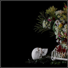 Load image into Gallery viewer, Egredior- Limited Edition Fine Art Photographic Print