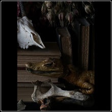 Load image into Gallery viewer, Untitled 30 - Limited Edition Fine Art Photographic Print