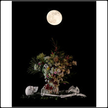 Load image into Gallery viewer, Egredior- Limited Edition Fine Art Photographic Print