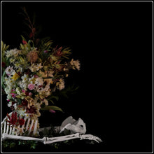 Load image into Gallery viewer, Egredior- Limited Edition Fine Art Photographic Print